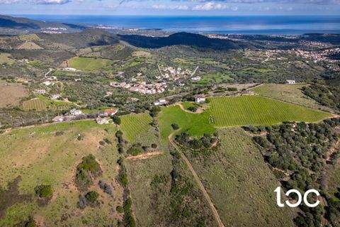 Tamarispa Grundstücke, Tamarispa Grundstück kaufen