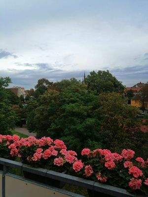 Blick vom Balkon zum Dom und Schloß.JPG