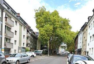 Thieboldsgasse - Einbahnstraße