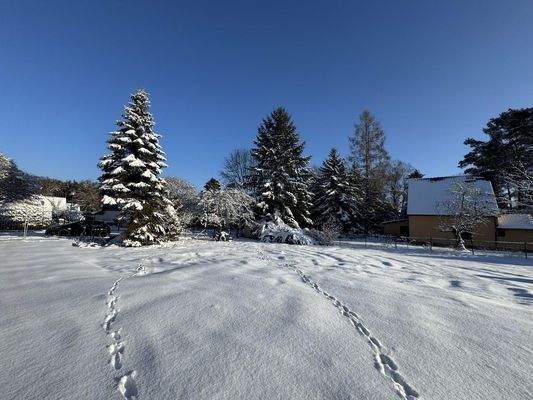 vord. Grundstück (01/2026)