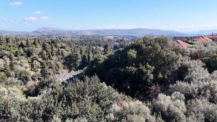 dji_fly_20250131_104236_0008_1738313130507_photo-C