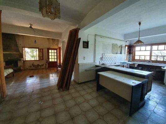 Kreta Sisi - vier Wohnungen in einem großen Garten zur Renovierung