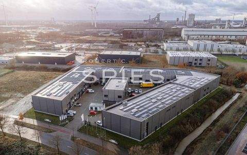 Bremen Halle, Bremen Hallenfläche