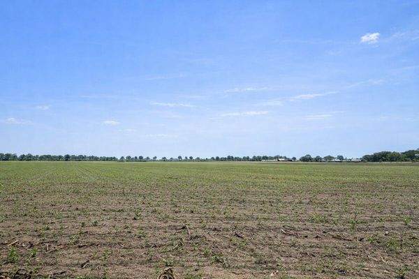 Weide hinter dem Haus