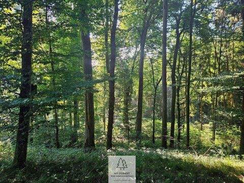 Ursberg Industrieflächen, Lagerflächen, Produktionshalle, Serviceflächen