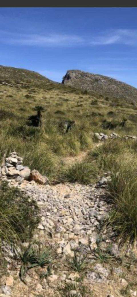 Arta Häuser, Arta Haus kaufen