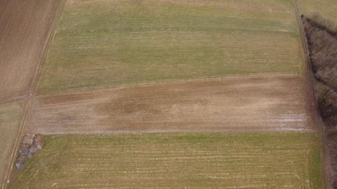 Rammingen Bauernhöfe, Landwirtschaft, Rammingen Forstwirtschaft