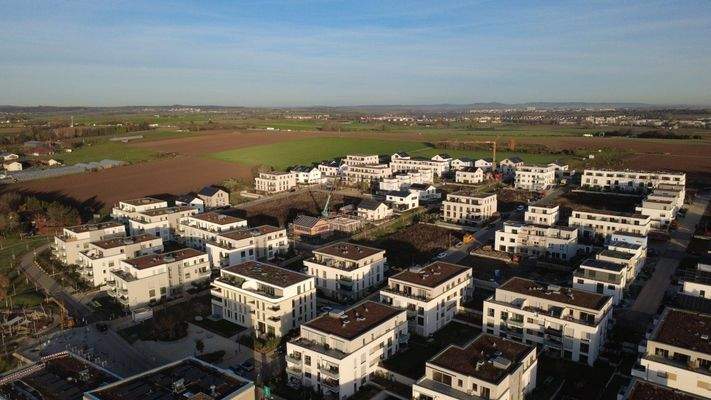 Blick auf den oberen Teil des Baugebiets