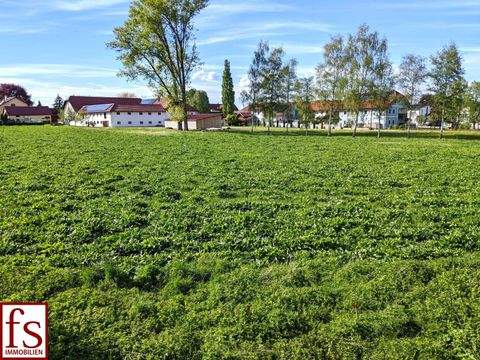 Michaelnbach Grundstücke, Michaelnbach Grundstück kaufen