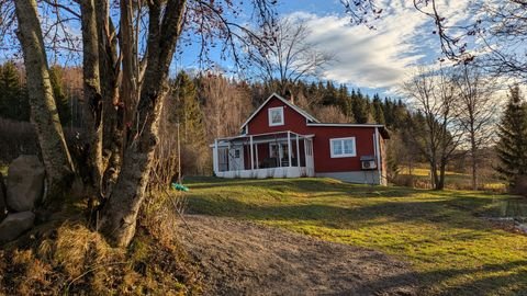 Skog Häuser, Skog Haus kaufen