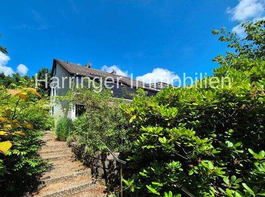 Zuwegung vom Carport