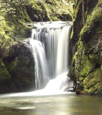 Badische Version der Niagaras