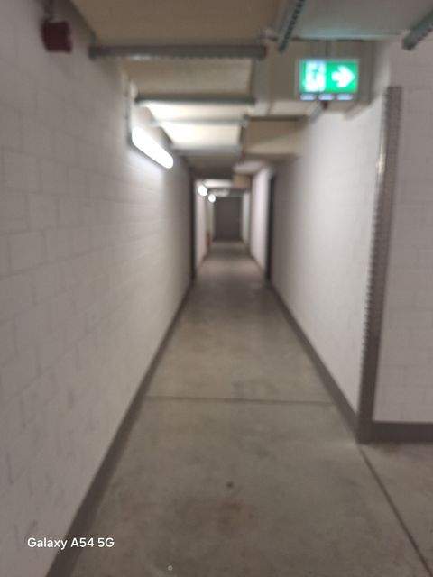 München Halle, München Hallenfläche