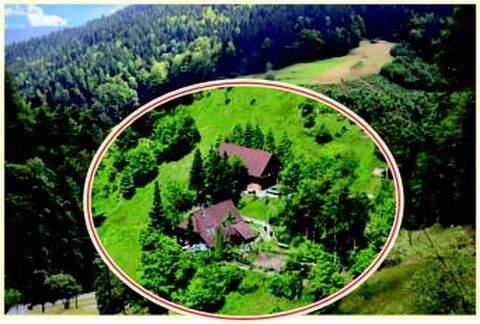 Bad Rippoldsau-Schapbach Grundstücke, Bad Rippoldsau-Schapbach Grundstück kaufen