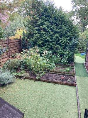 WhatsApp Bild 2025-09-27 um 10.53.31_587b19b5.jpg