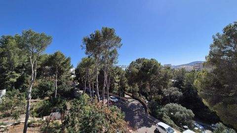 Portals Nous Grundstücke, Portals Nous Grundstück kaufen