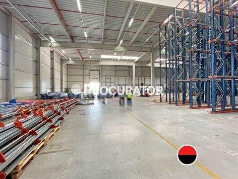 Hamburg Halle, Hamburg Hallenfläche