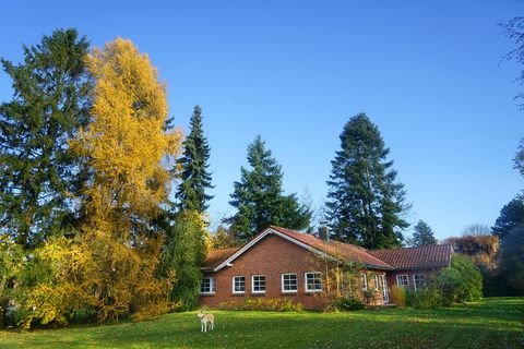 Egestorf Häuser, Egestorf Haus kaufen