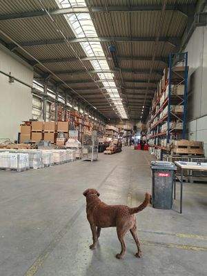 Halleninne am Sektionaltor1 mit Wachhund;-)