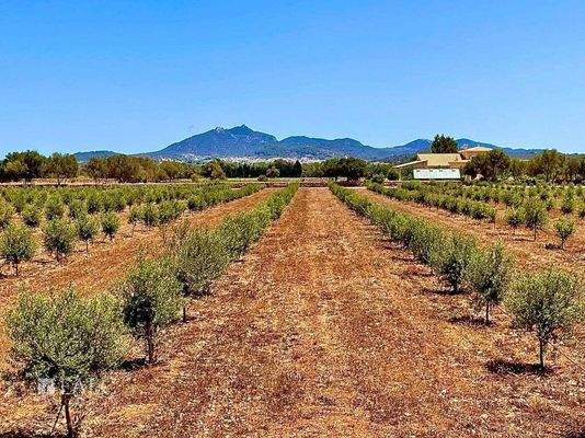 066548c0-9f1b-4b2a-9f19-dd8583f016ae