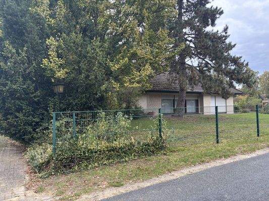 Einblick in den Garten