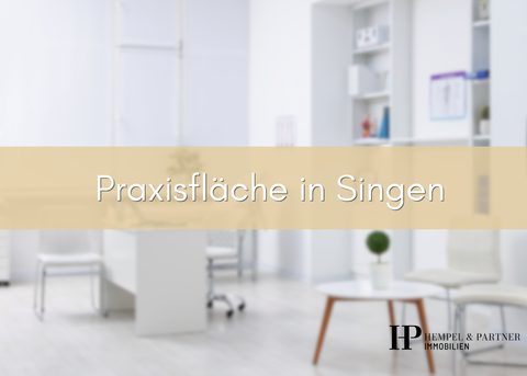 Singen (Hohentwiel) Büros, Büroräume, Büroflächen 