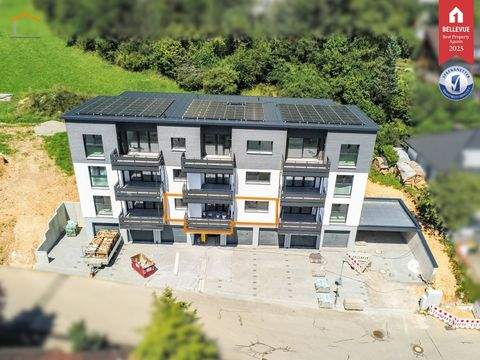 Fridingen an der Donau Wohnungen, Fridingen an der Donau Wohnung mieten
