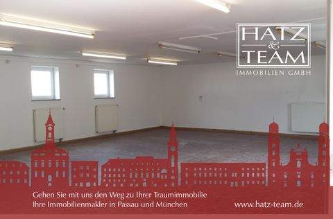 Passau Halle, Passau Hallenfläche