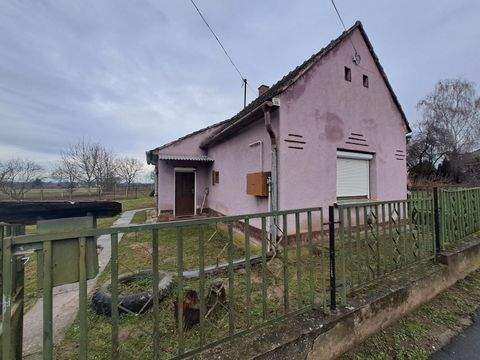 Zalakomár Häuser, Zalakomár Haus kaufen