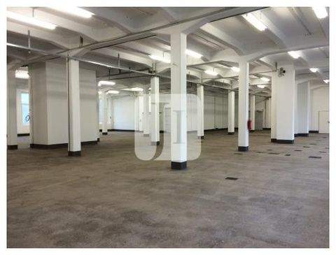 Hamburg Halle, Hamburg Hallenfläche