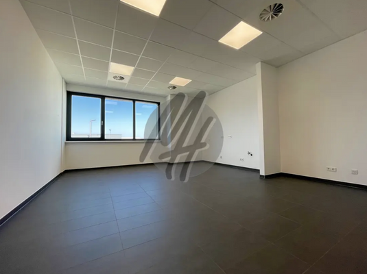 INFOS UNTER: 06171-586000