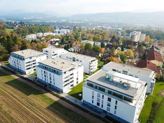 Luftaufnahme auf das Wohnquartier