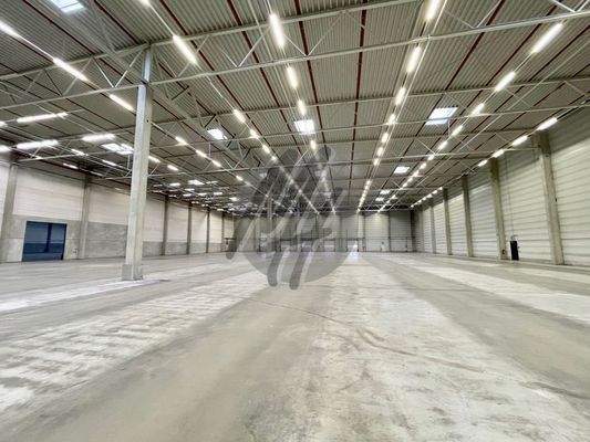 INFOS UNTER: 06171-586000