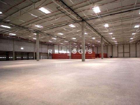 Allersberg Halle, Allersberg Hallenfläche