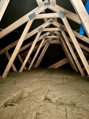 PHOTO-2025-01-22-00-18-05 2.jpg