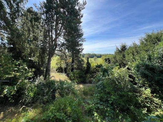 Haus-Gießen-Kleinlindener Straße 39-Ausblick.JPG