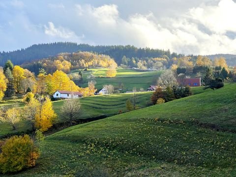 Bühlertal Häuser, Bühlertal Haus kaufen