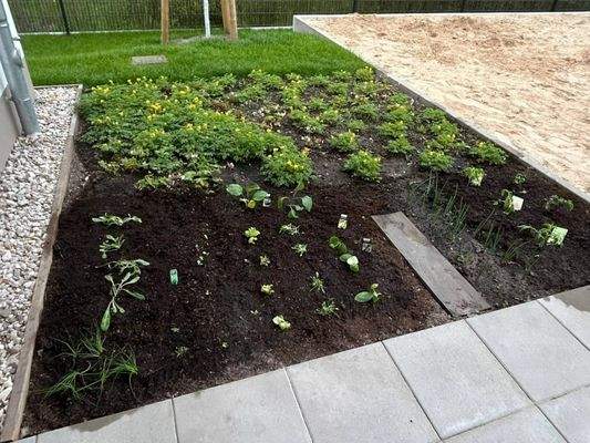 Ansicht III: Terrasse