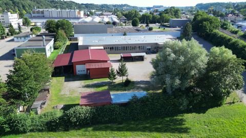 Warthausen Halle, Warthausen Hallenfläche