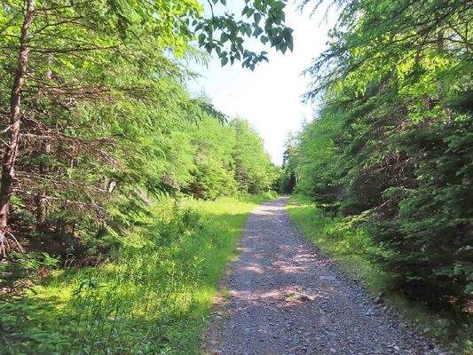 Cape Breton - Ideal für´s Kapital - Einzigartiges 