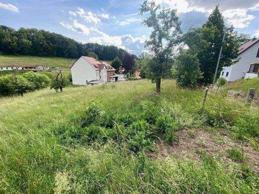 Blickrichtung talabwärts Richtung Südwest.jpg