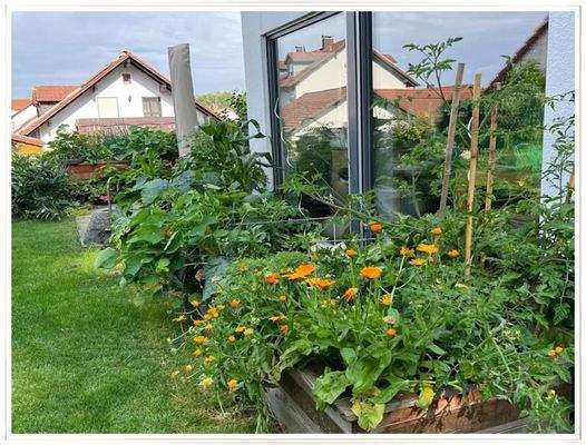 Blumen vor Esszi. (Archivbild)