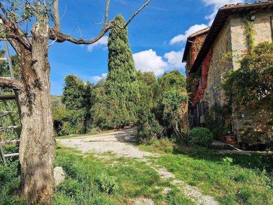 39LAzienda_ agricola_Toskana.jpg