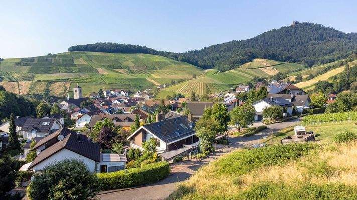 haus-baden-baden-neuweier-drohnenaufnahme-wolf-immobilien