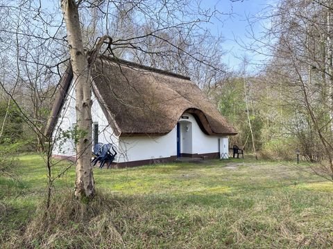 Insel Hiddensee Häuser, Insel Hiddensee Haus kaufen