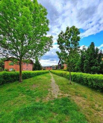 wundervolle Gartenanlage.jpg