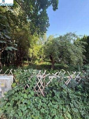 ebenes Grundstück mit gutem Baumbestand