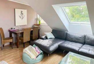 Wohnzimmer mit Veluxfenster