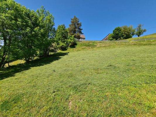 Blick nach Nordosten