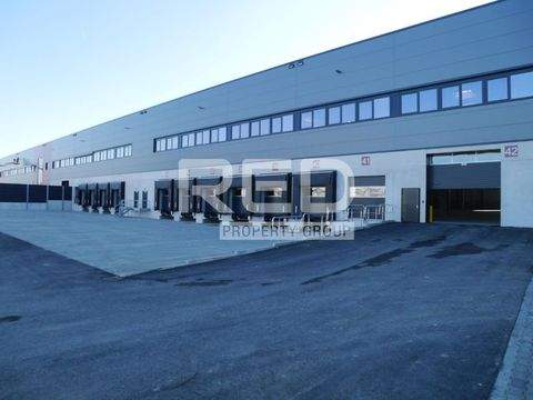 Langenfeld Halle, Langenfeld Hallenfläche